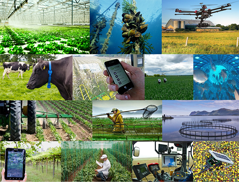Smart Agriculture : Comment imaginez-vous le futur de l’agriculture ?
