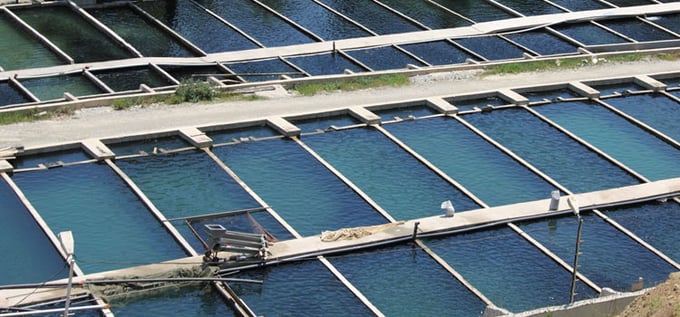 Une solution d'acquisition de données dans des exploitations piscicoles