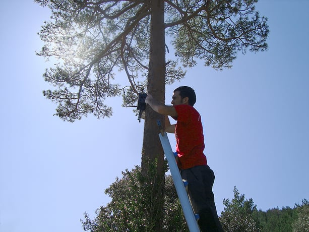 Détecter les incendies de forêt avant qu'il ne soit trop tard ! [Expérience Client – Smart Cities]