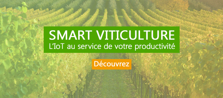 smart viticulture